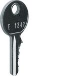 FZ596 Hager 